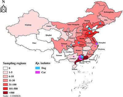 Multidrug-Resistant Klebsiella pneumoniae Complex From Clinical Dogs and Cats in China: Molecular Characteristics, Phylogroups, and Hypervirulence-Associated Determinants